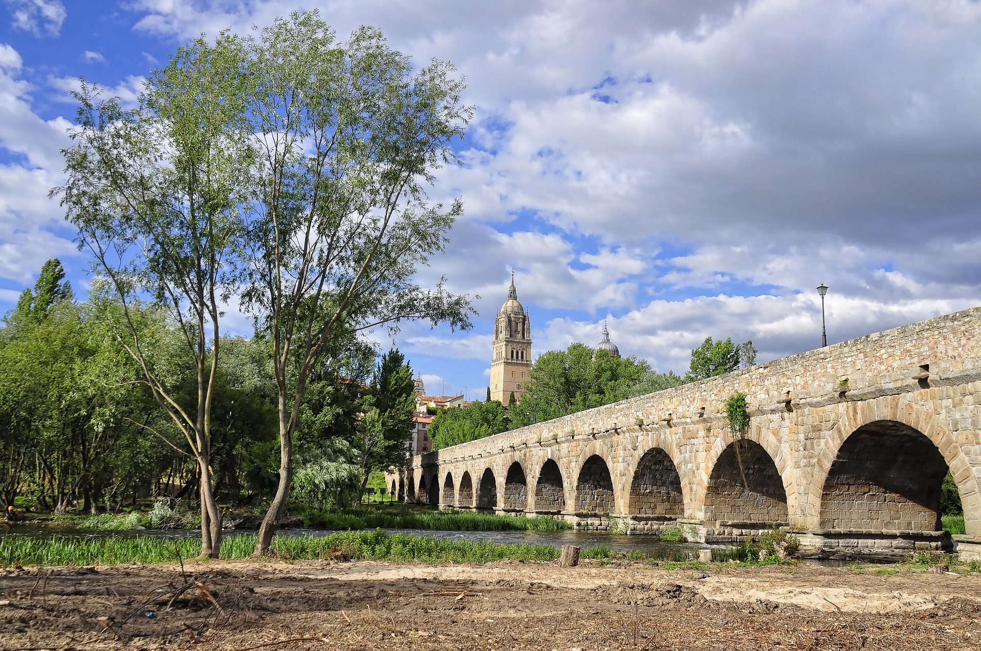 Le jambon ibérique est-il identique au jambon pata negra ? - Campo Badajoz